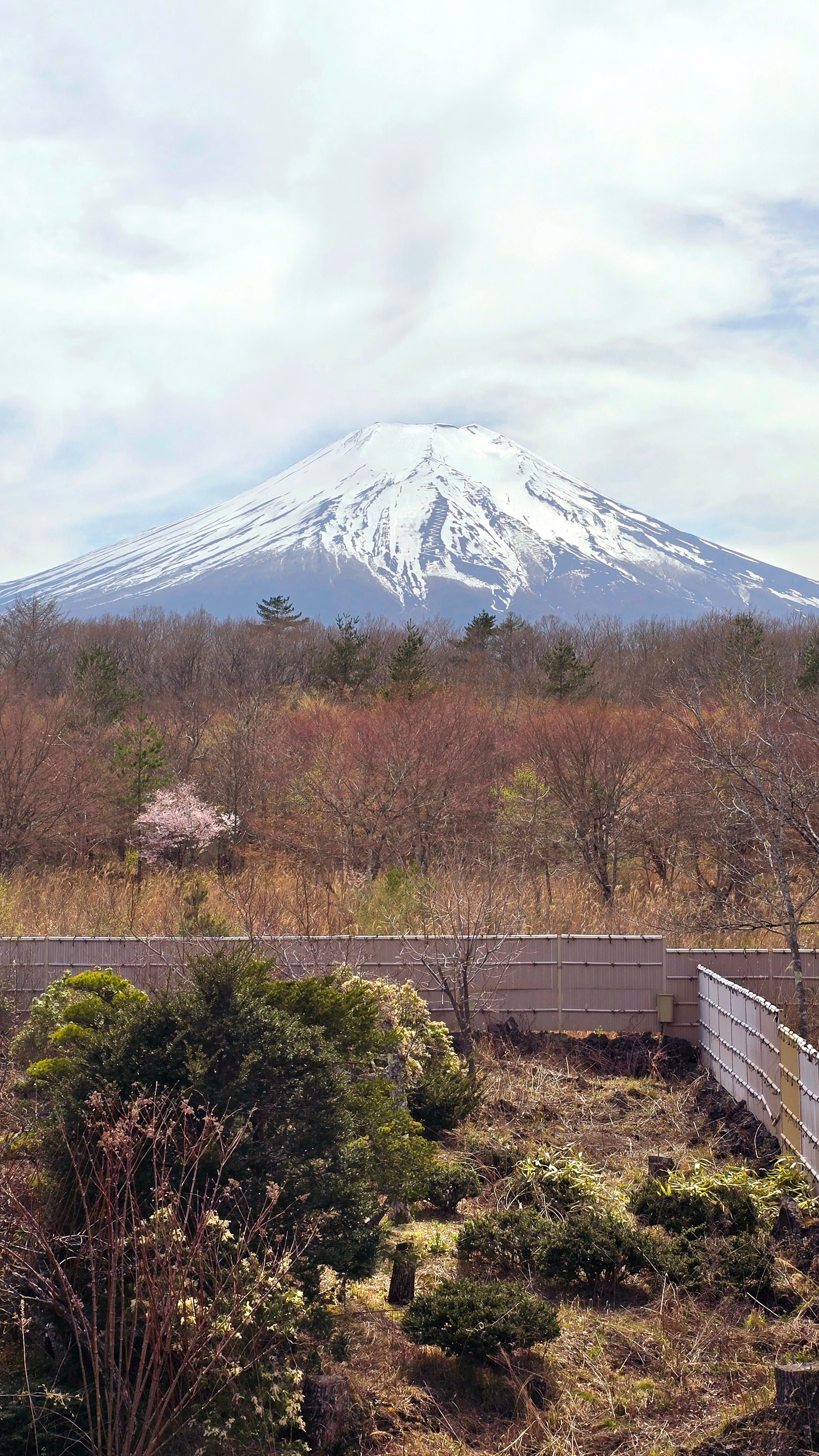 Hotel Style Dust Free Frill Comforter user photo