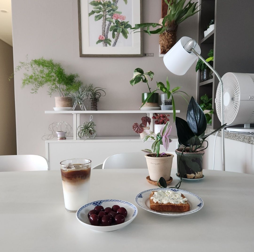 Sunflower Highball Glasses (Set of 2) user photo