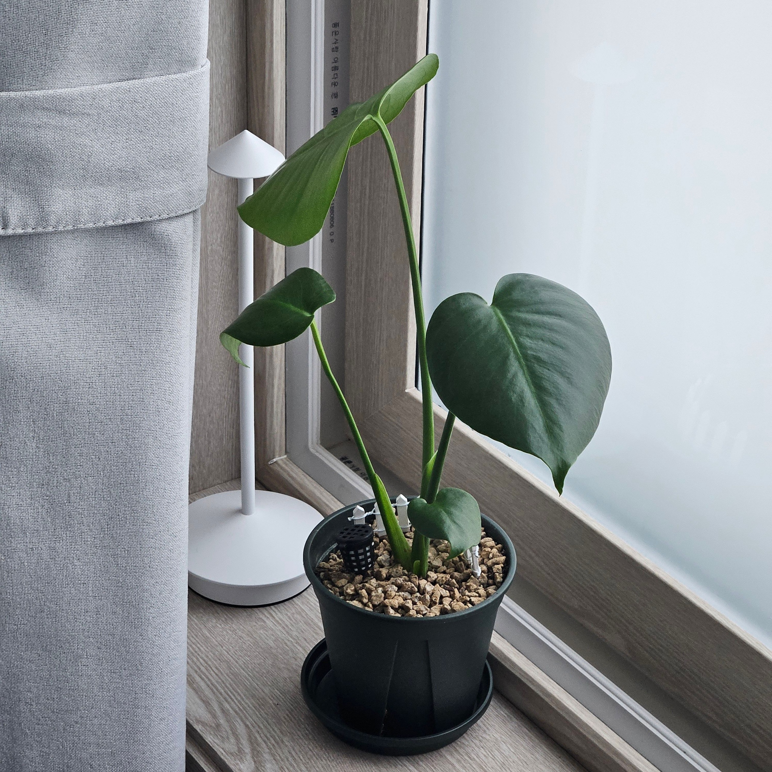Sleek Modern Desk Lamp user photo