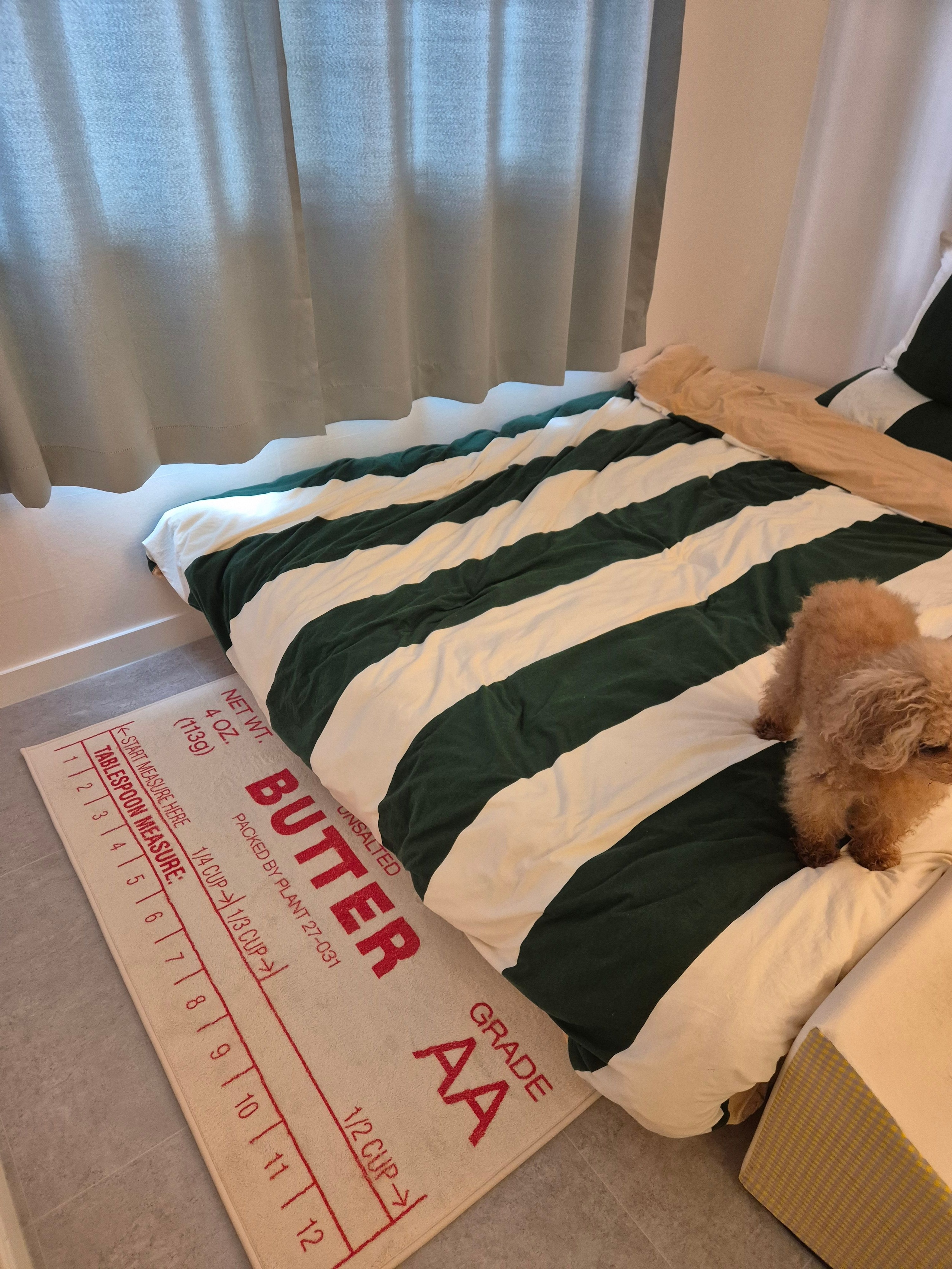 Butter Stick Rug user photo