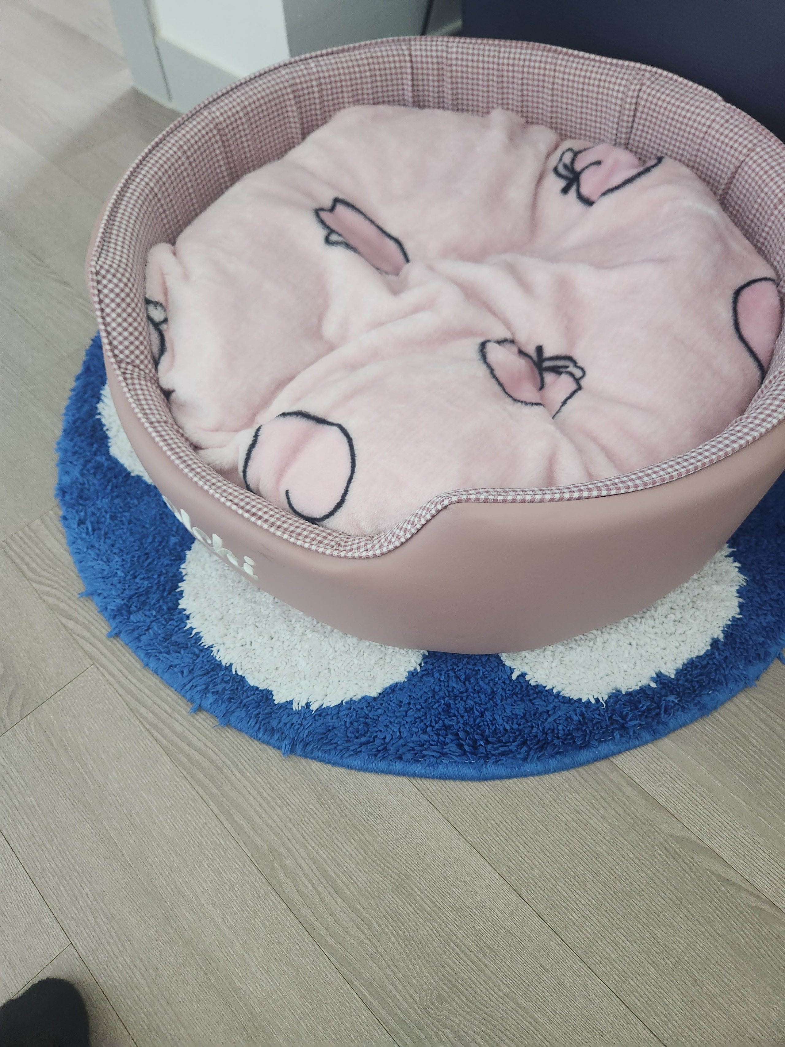 Momozzing Plush Blanket & Comforter user photo