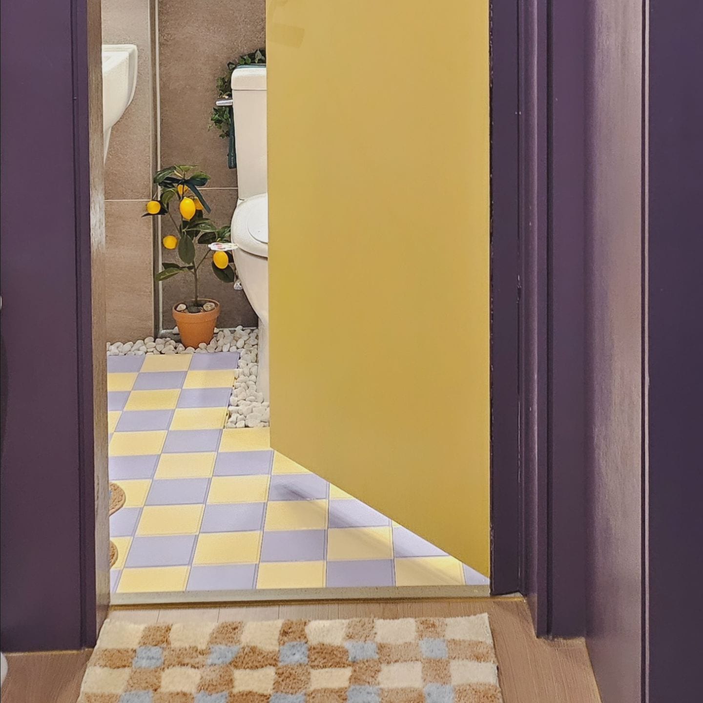 Candy Check Tufted Rug user photo