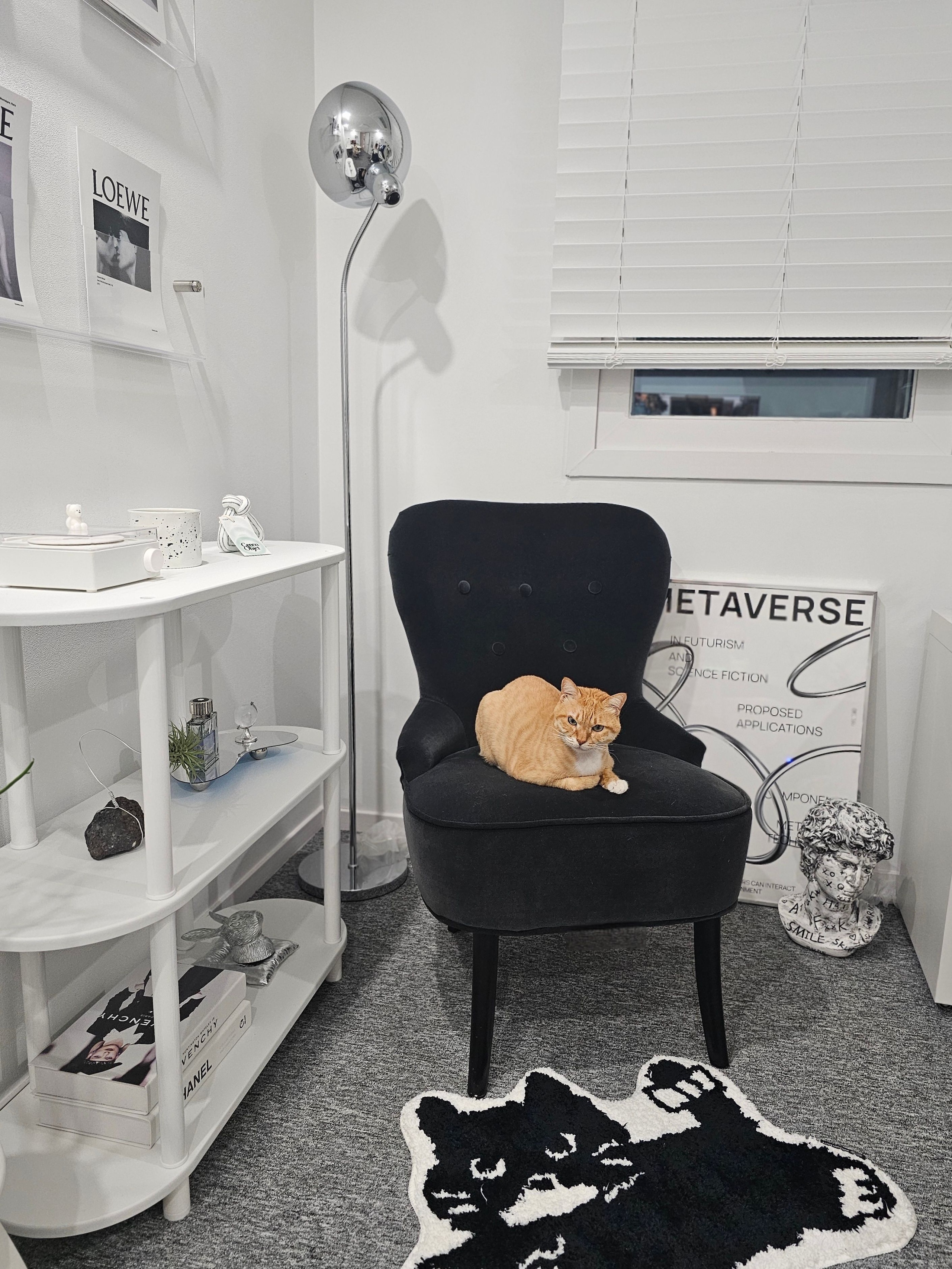 Black Cat Tufted Rug user photo