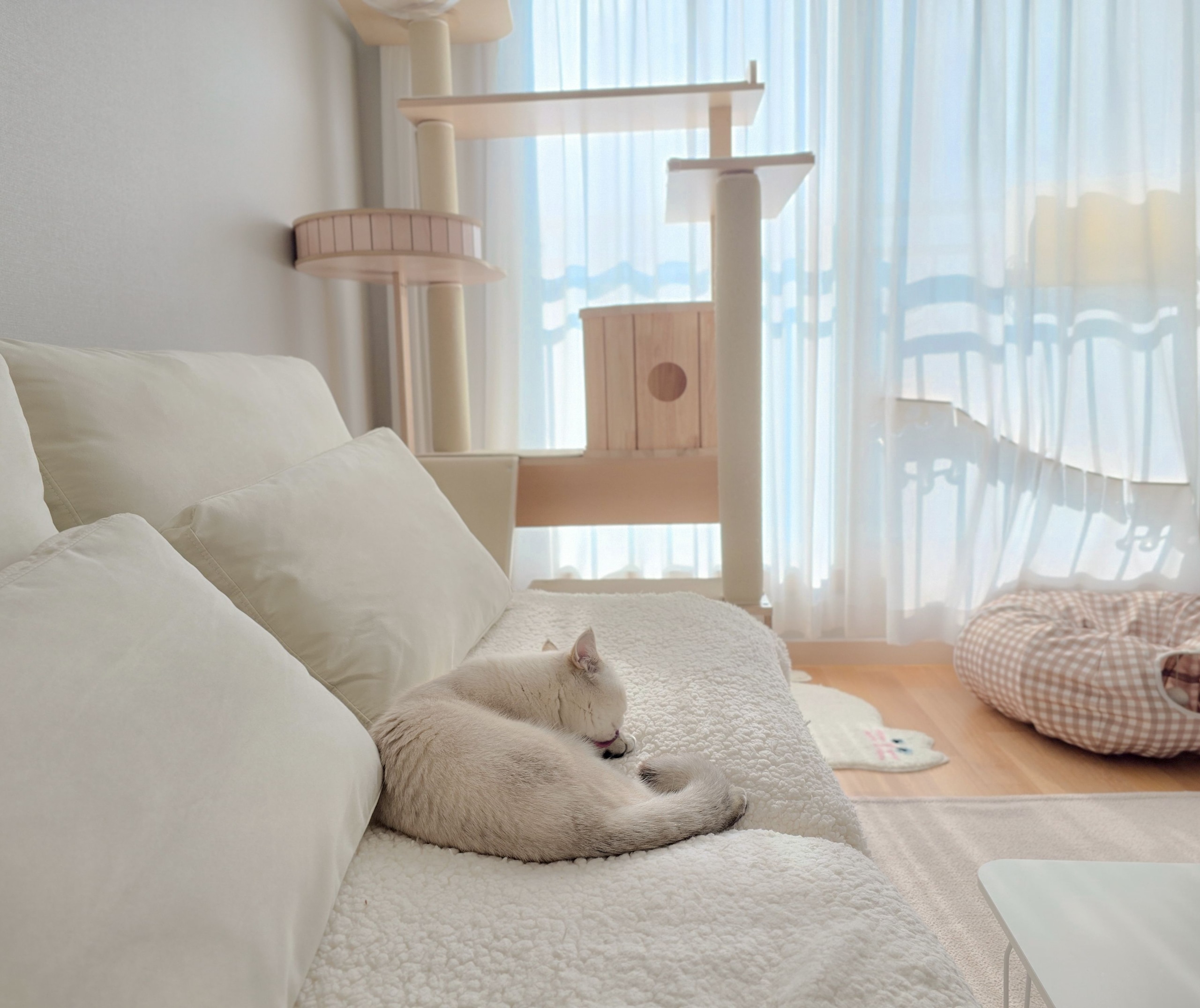 Sweet Cat Tufted Rug user photo