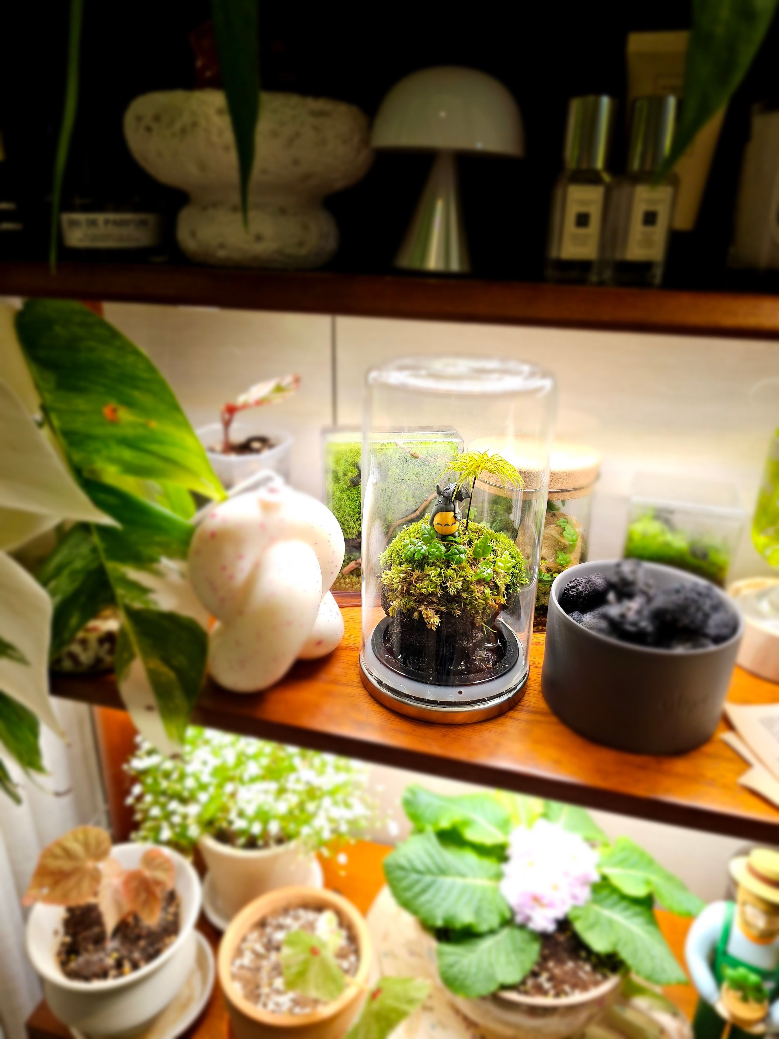 Mood Stone Bowl Diffuser user photo