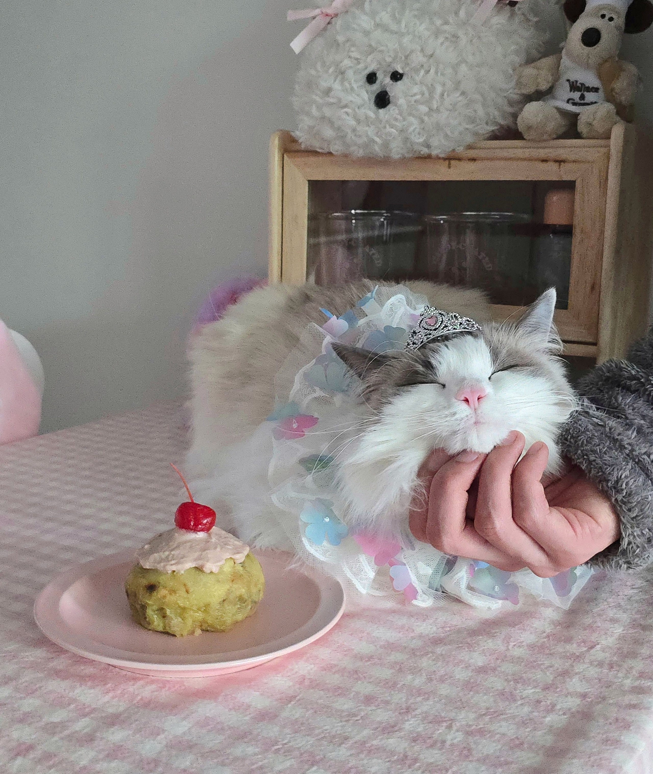 Cozy Dot Plate user photo