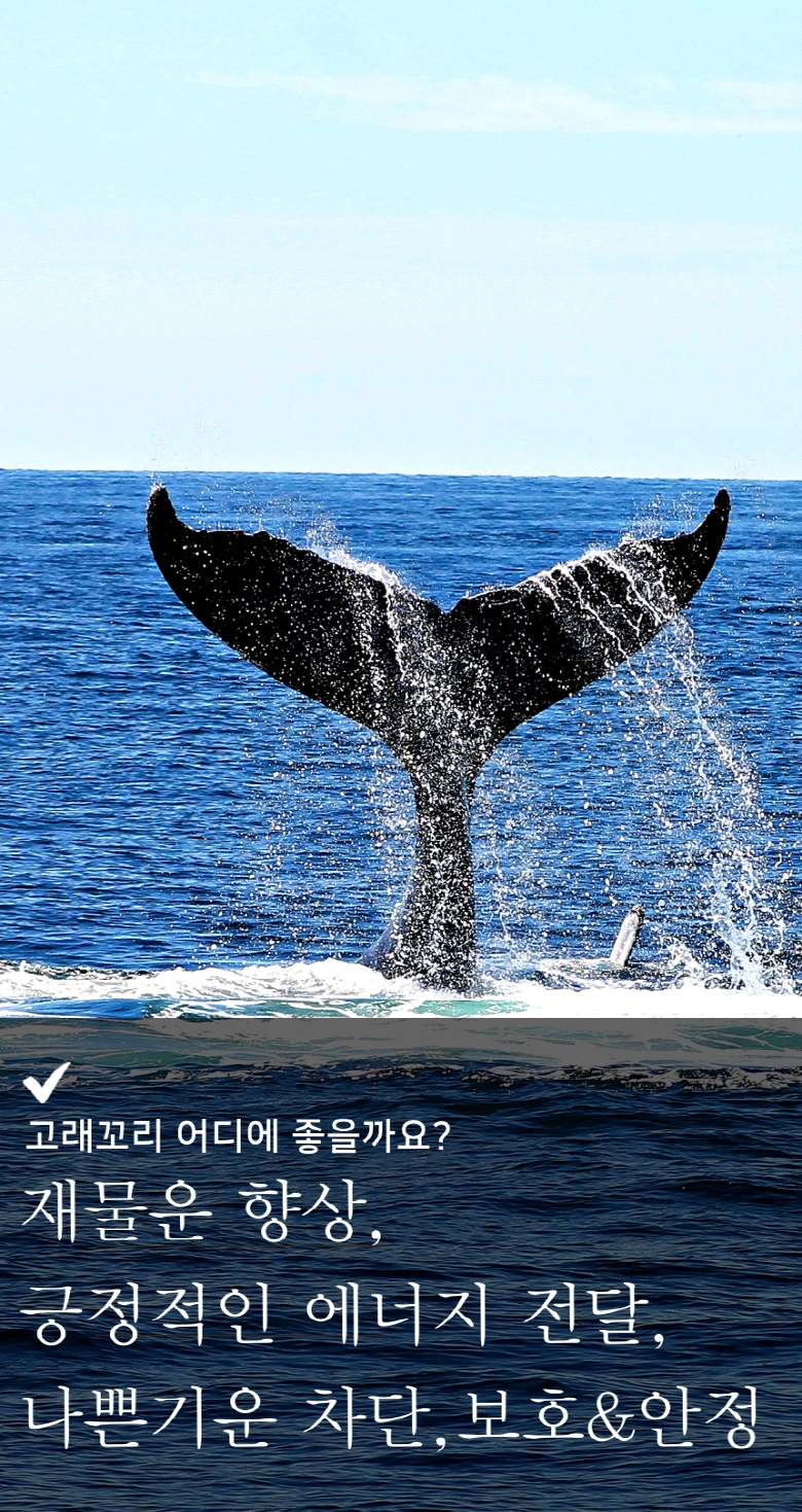 마그넷·도어벨 > 현관종 풍경종 도어벨 황금 고래 한국수공예 집들이 개업 이사 외국인 선물 | 오늘의집 쇼핑