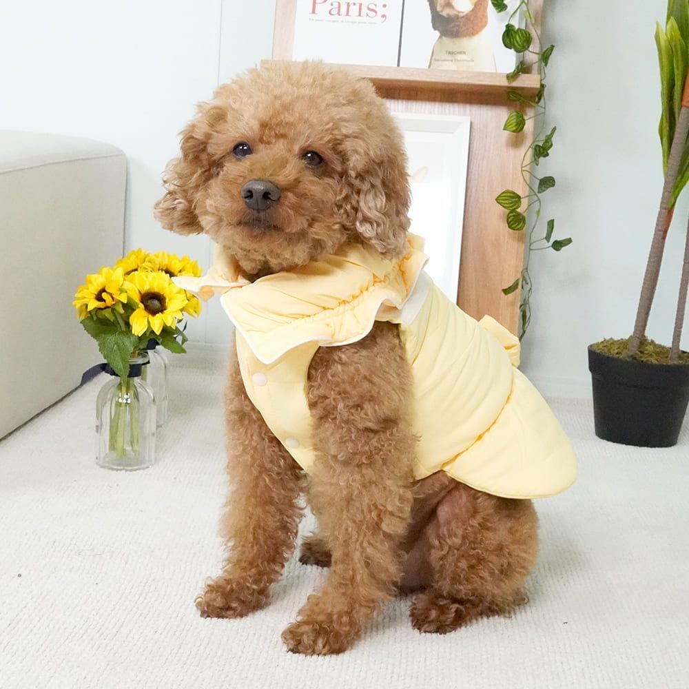 오늘의집 개과천선 솜사탕 강아지 패딩 리본 레이스 겨울 아우터
