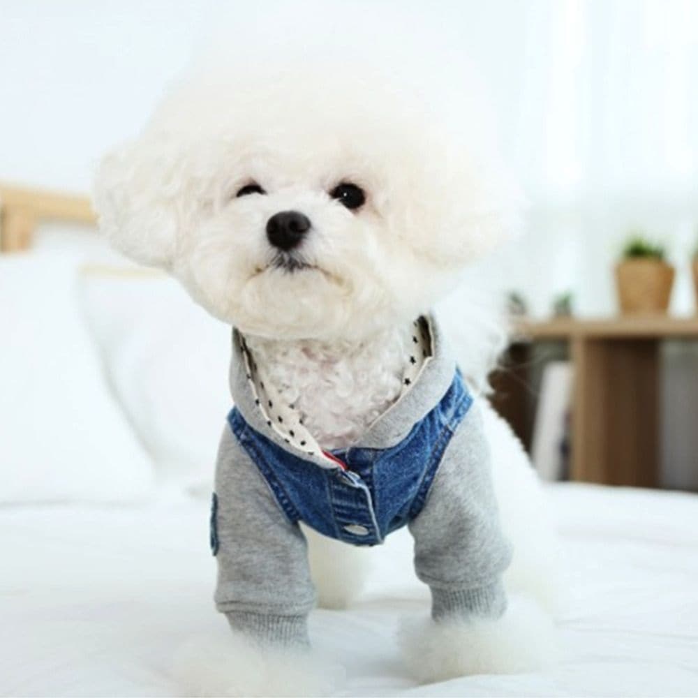 오늘의집 점프 인 진 후디 강아지 후드티 데님 패션 아우터