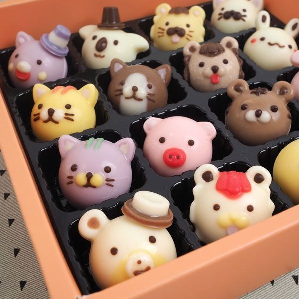 동물얼굴 초콜릿 만들기 세트 수제 발렌타인데이 DIY