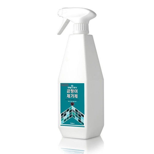 뿌리는 곰팡이제거제 750ml 1+1