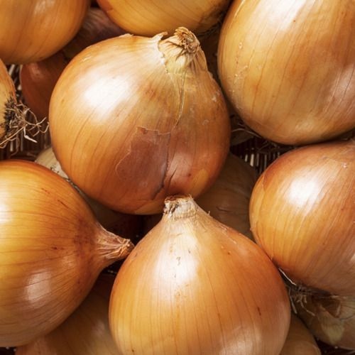 무안 햇양파 3kg/5kg/10kg 흰/자색양파
