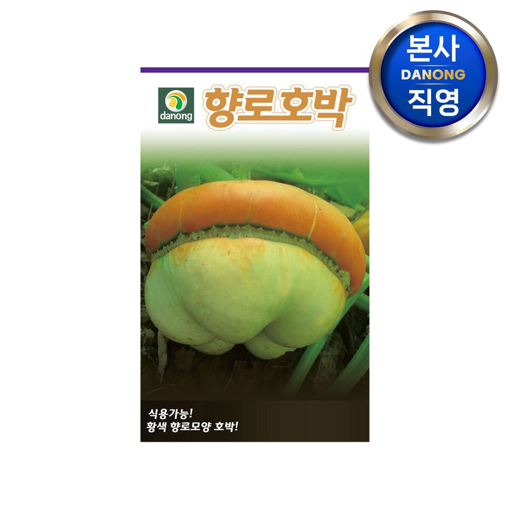 향로 호박 씨앗 10립 . 야채 채소 텃밭 파종 재배 주말 농장 씨 종자