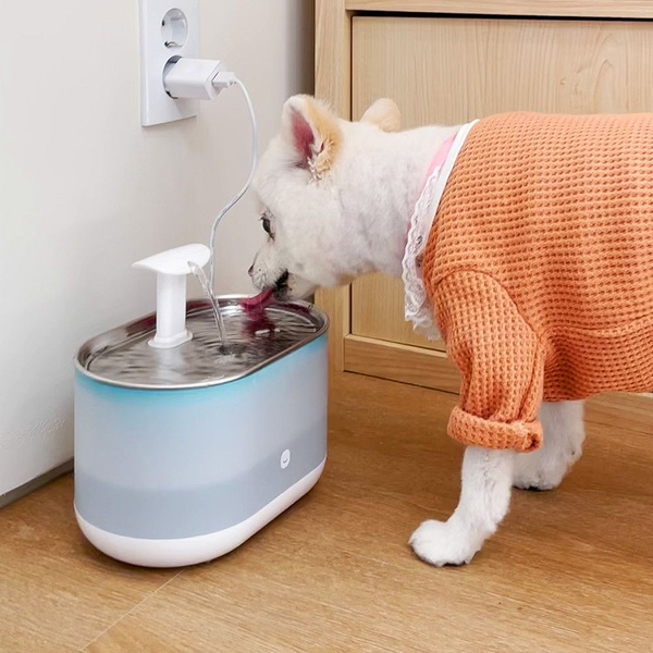 깨끗하게 5중필터 펫 고양이 강아지 정수기
