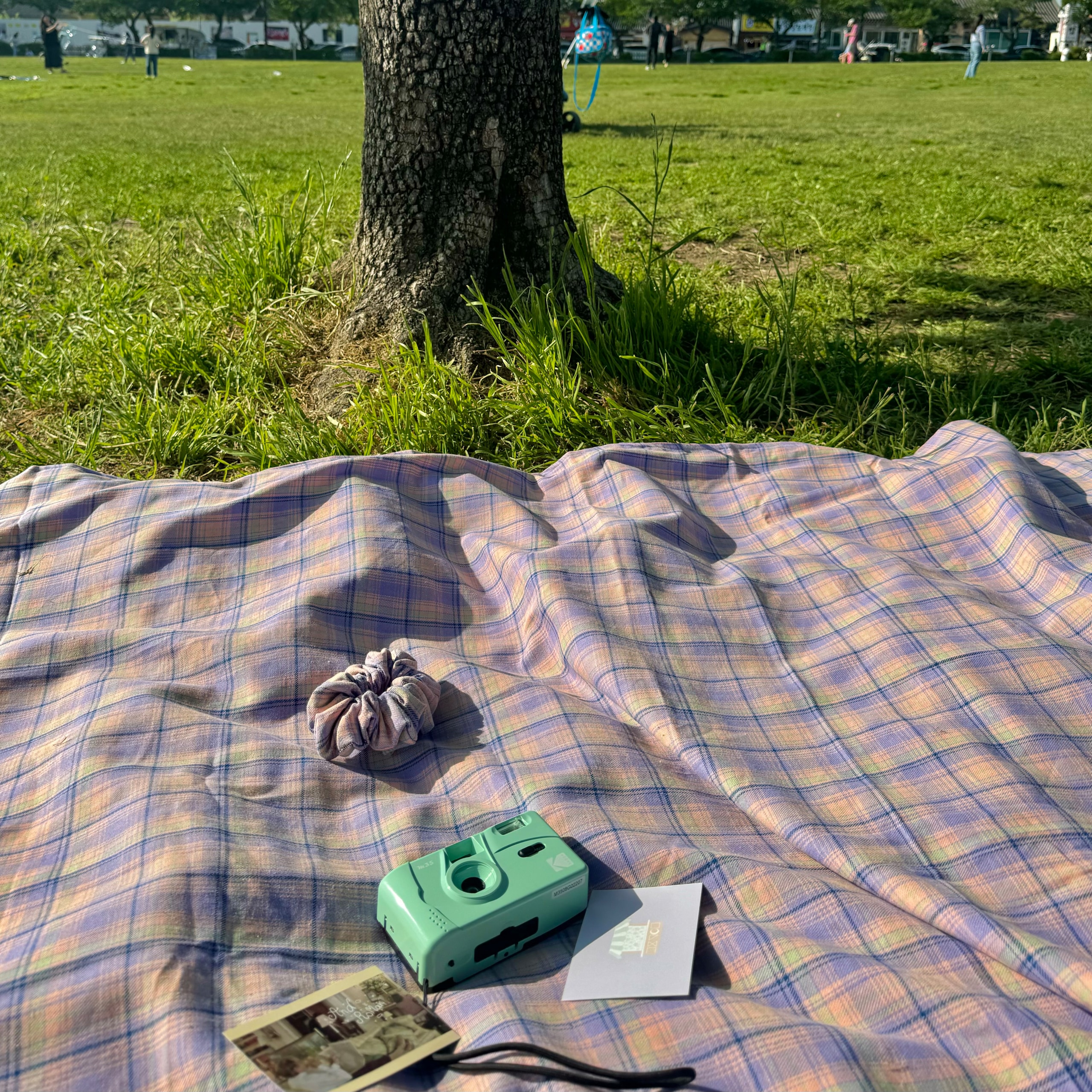오늘의집 그리고낭만 blueberry check picnic mat 감성 방수 대형 돗자리 체크