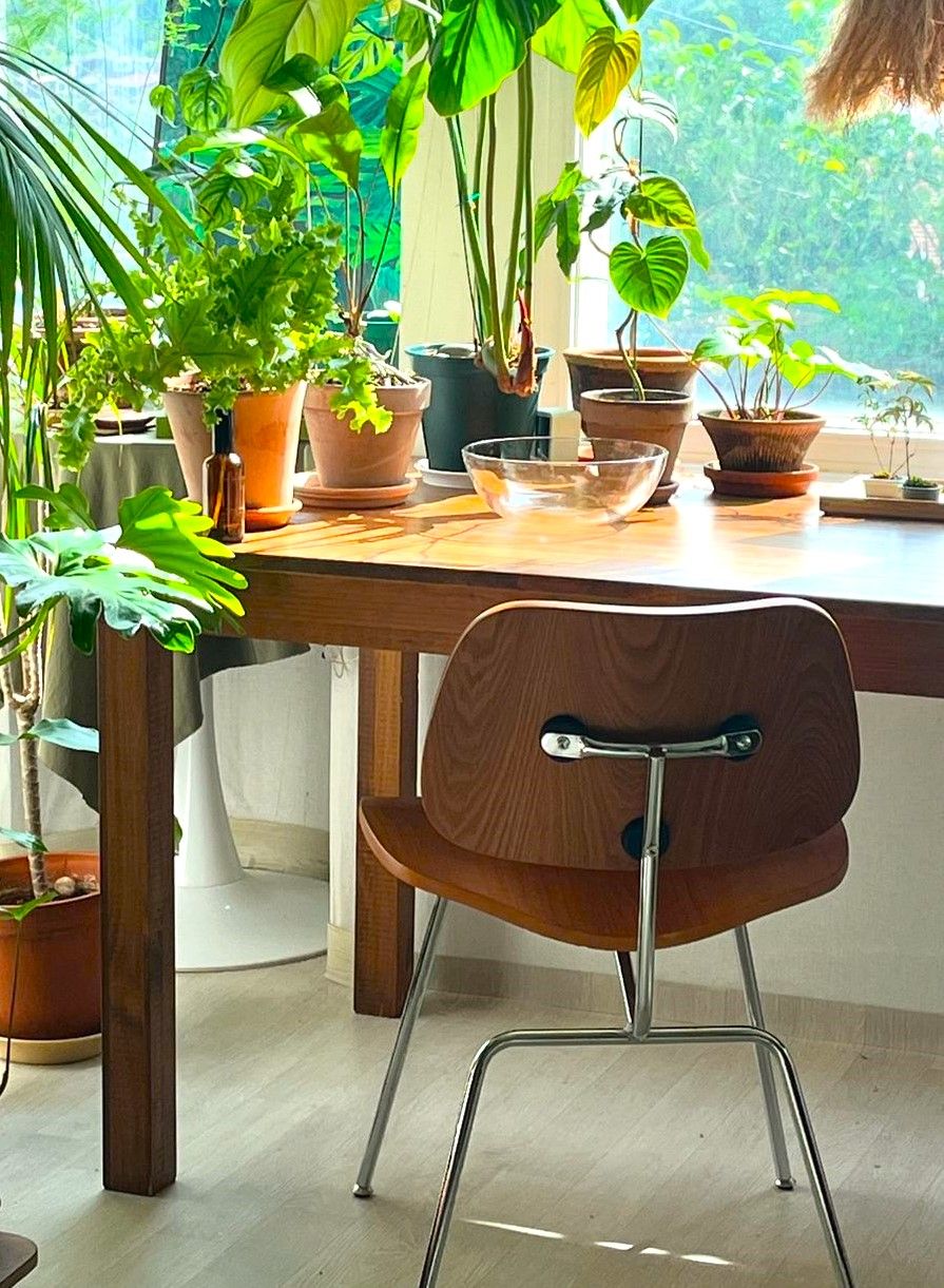 IKEA HÖGSTEN ホーグステン アームチェア 屋外用 | ダイニングチェア