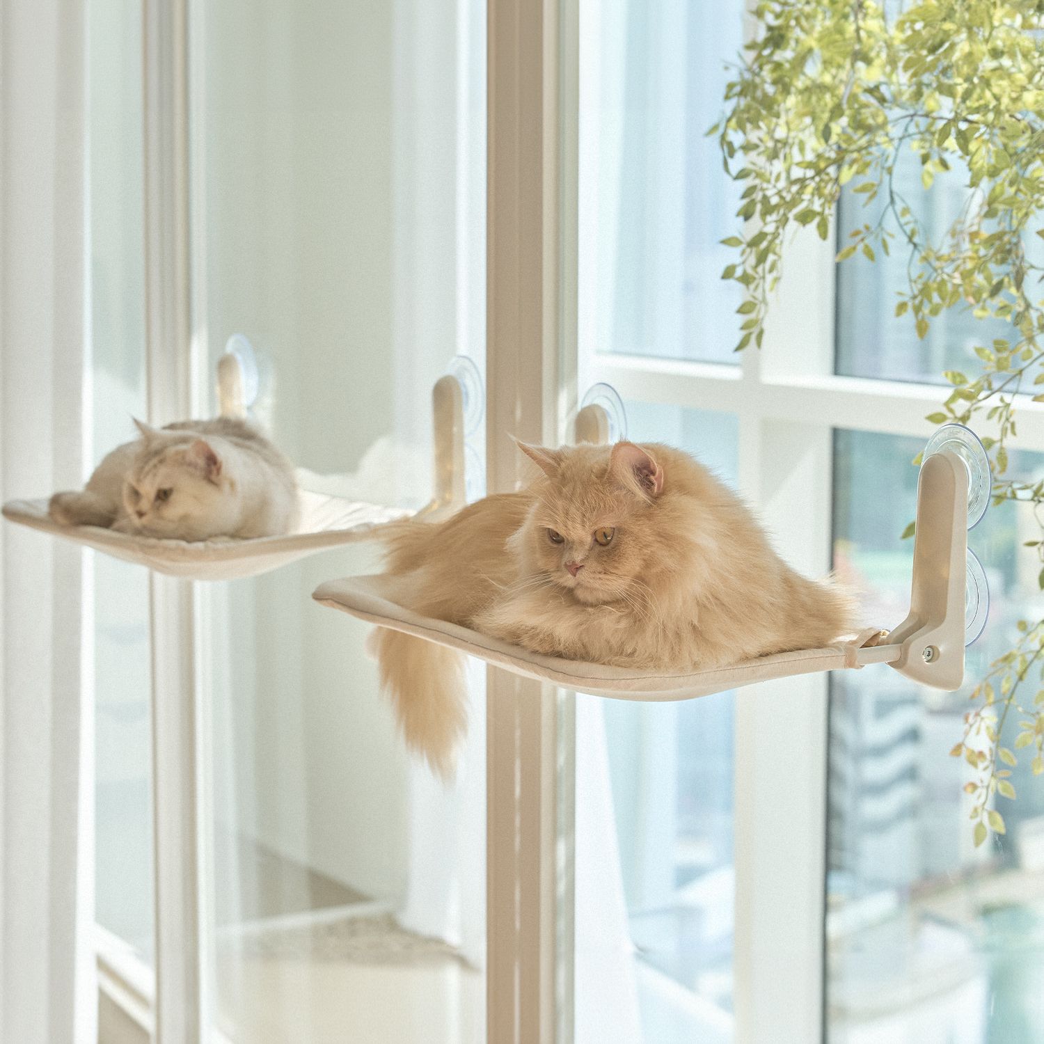 오늘의집 고양이 창문 해먹 캣타워