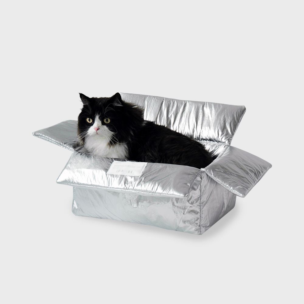 고양이 쿠션 집 박스 l cat box(2colors) 가격 추이 46month 고양이 쿠션 집 박스 l cat box(2colors) - 최저가 86,400원