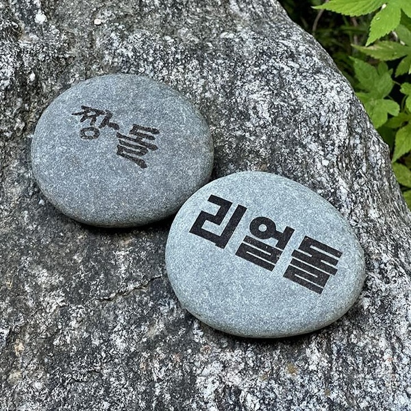 재밌는 쓸모없는 특이한 애완돌 돌 선물 킹받는선물 친구 생일선물 짱돌 반려돌 돌맹이 키우기