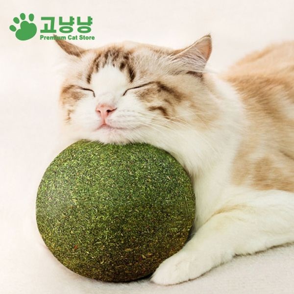 대왕 캣닢볼 고양이 장난감 왕닢볼