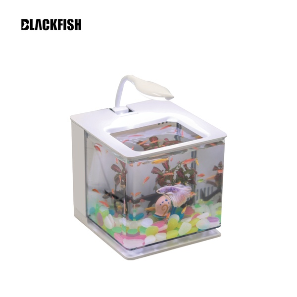 미니 탱크 LED 배면섬프 일체형 탁상용 베타 나노 어항 수조