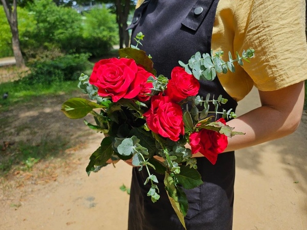 빨간장미 꽃5송이 꽃배달 싼곳 생화택배