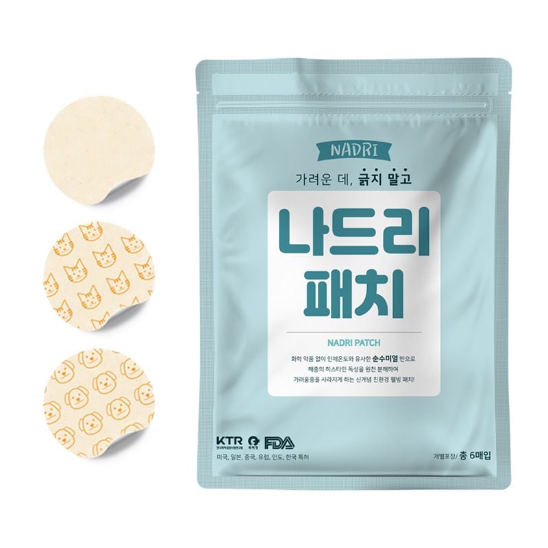 구디푸디 나드리 썸머패치 밴드 3type