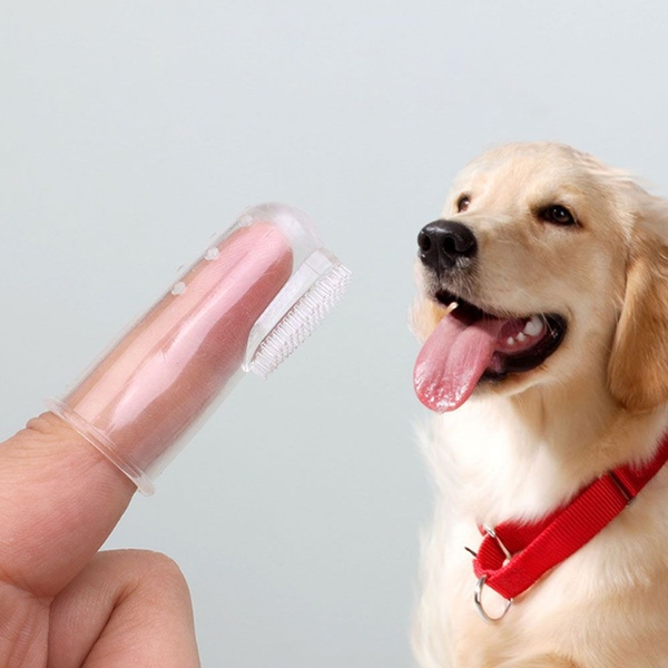 강아지 고양이 실리콘 손가락 칫솔