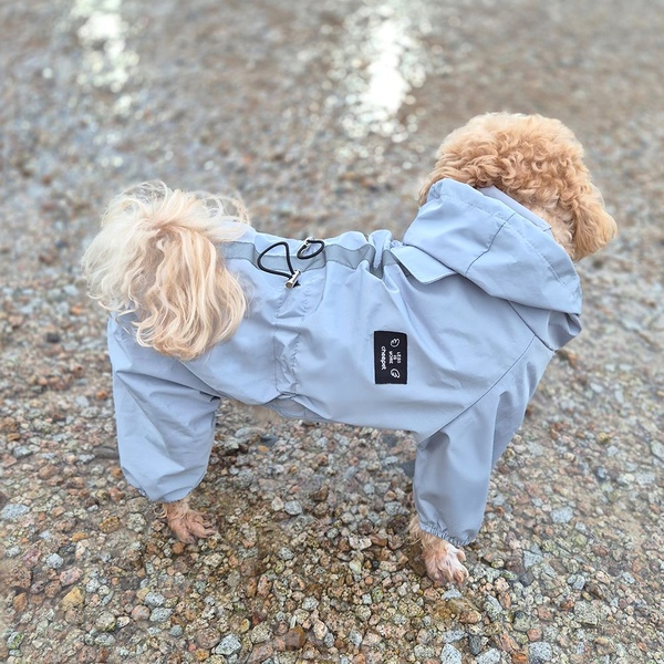 올인원 강아지 우비 바람막이 애견 비옷 레인코트