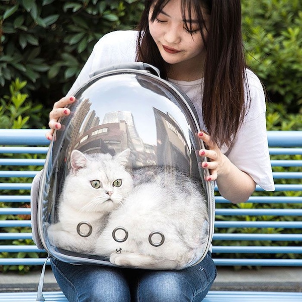 반려동물 이동가방 투명우주선백팩