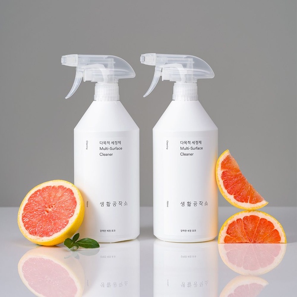 기름때 싹! 주방세정제 주방용 세정제 시트러스향 750ml x 2개
