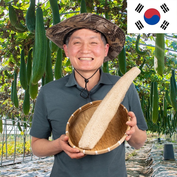 몽둥이 천연수세미 친환경 국산 제로웨이스트 이유식 헹굼 자연 / 3size