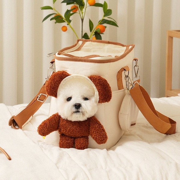 강아지 고양이 이동가방 캐리어 곰돌이 테디백