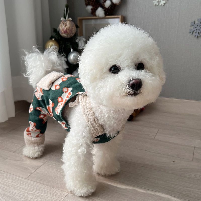 강아지 올인원 멜빵 바지 뛰뛰 니트 겨울 보온 강아지옷 방한복 가격 비교 토끼독 강아지 올인원 멜빵 바지 뛰뛰 니트 겨울 보온 강아지옷 방한복