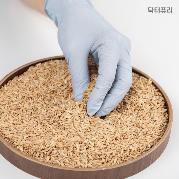 귀리코팅 니트릴 위생장갑 100매