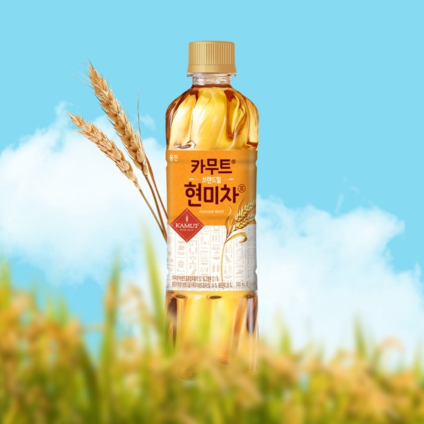 카무트 브랜드밀 현미차 500mL*10개