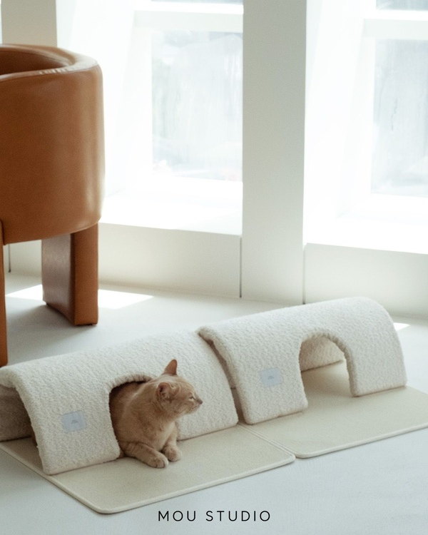 부클레 고양이 숨숨터널 (2차리뉴얼)