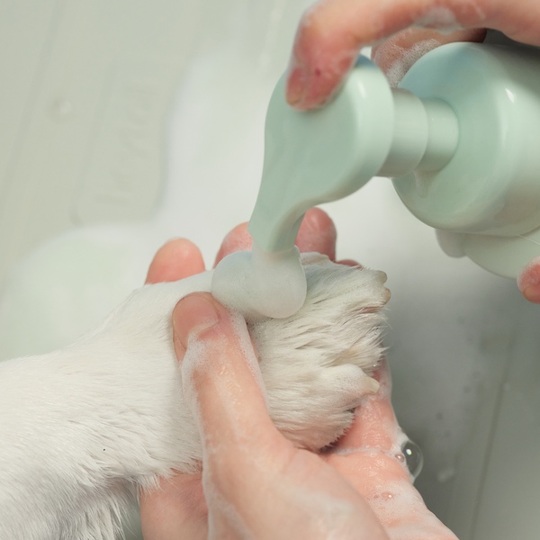 헤이테일 컬러버블 풋클렌저 300ml 강아지 발 세정제 산책 발사탕 꼬순내 샴푸