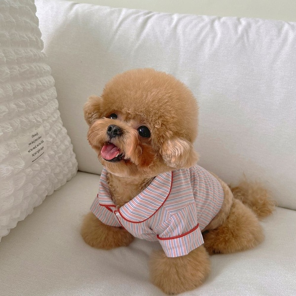 올썸 코코조이 스트라이프 강아지잠옷 반려견 펫파자마 2color