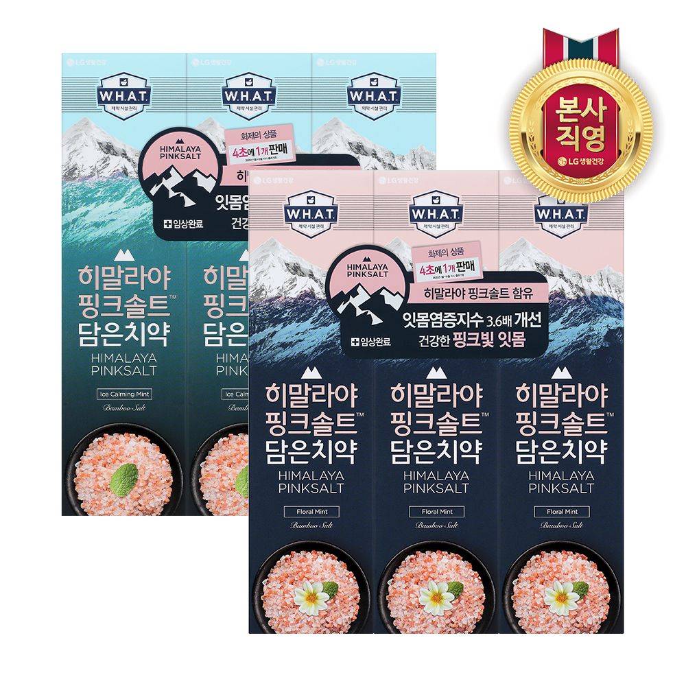 LG생활건강 히말라야핑크솔트 치약 100g x 6개(아이스/플로럴 택1)