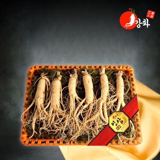 오늘의집 국내산 강화 5년근 수삼 1채 750g (8-10뿌리)(바구니+보자기선물포장)
