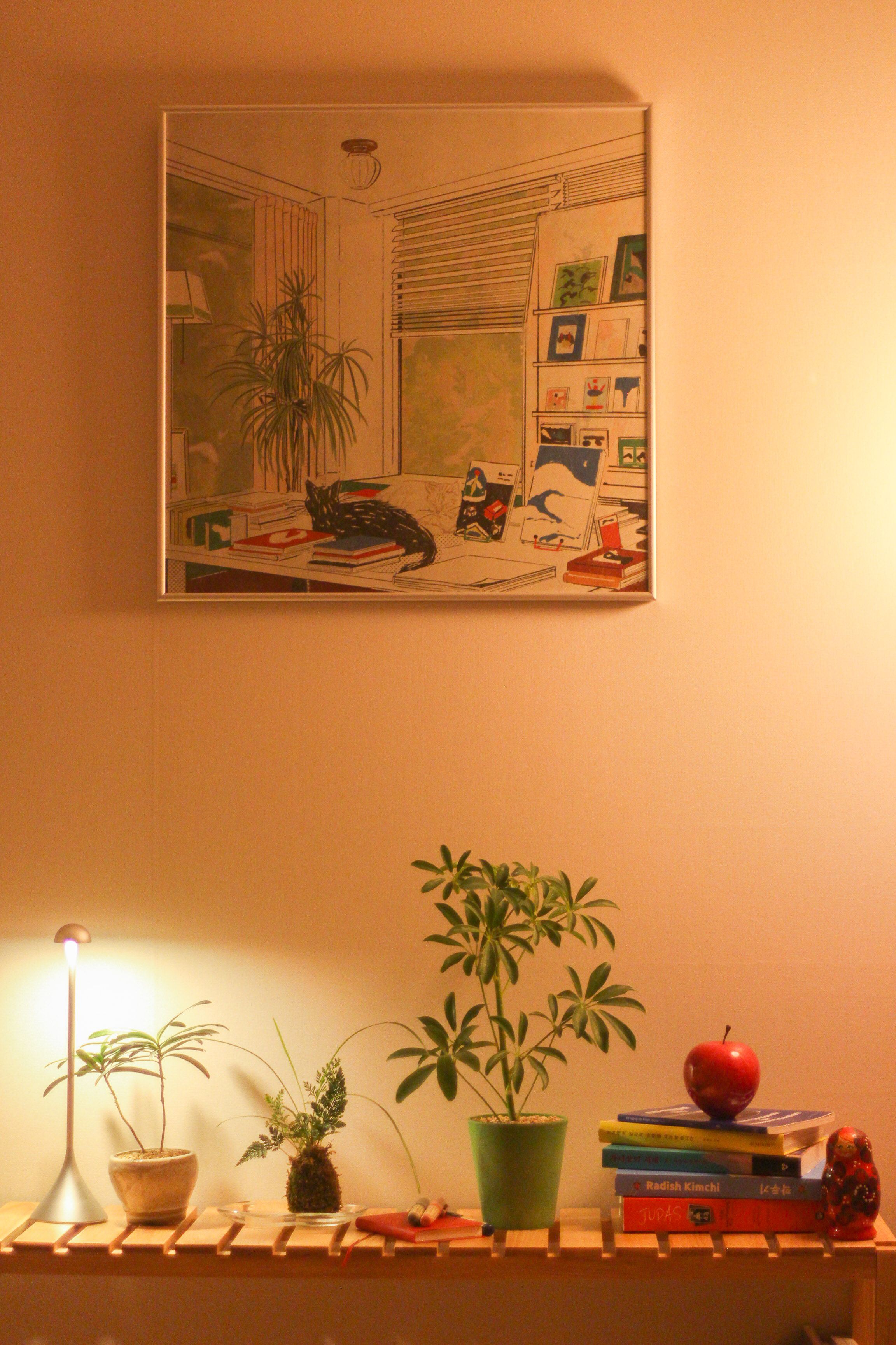 Solid Wood Plant Stand user photo