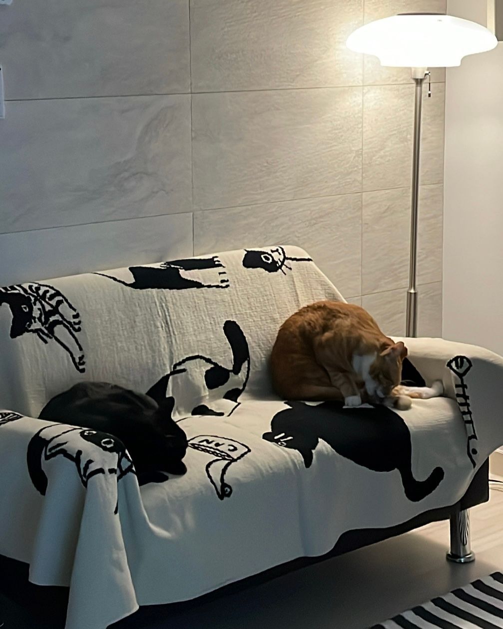 Reversible Cat Knit Blanket user photo