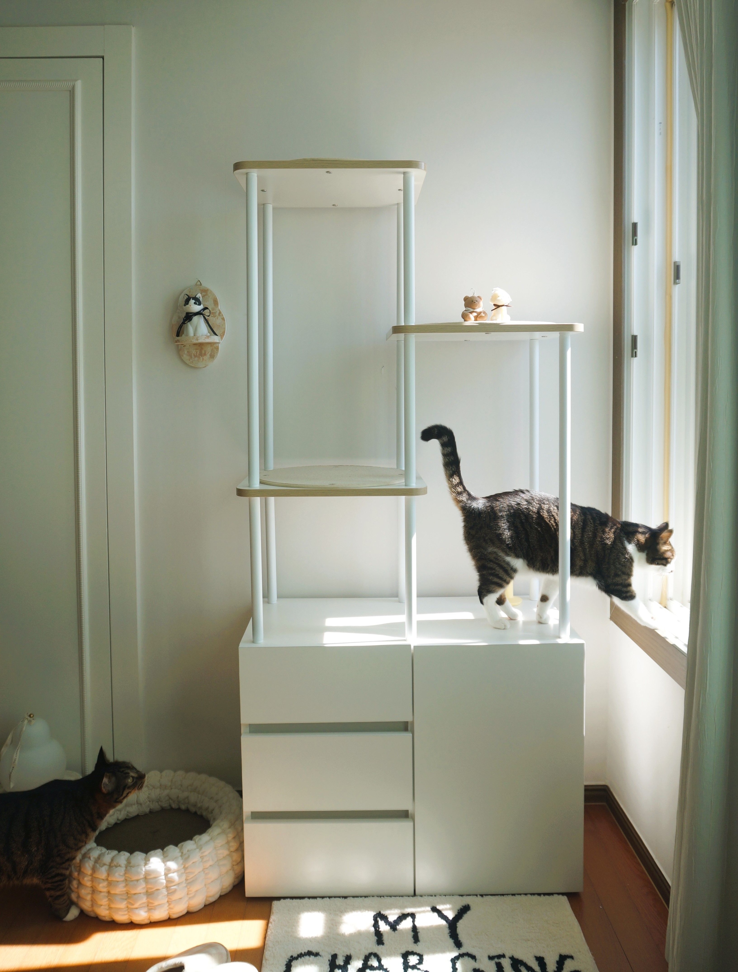 My Charging Station Tufted Rug user photo