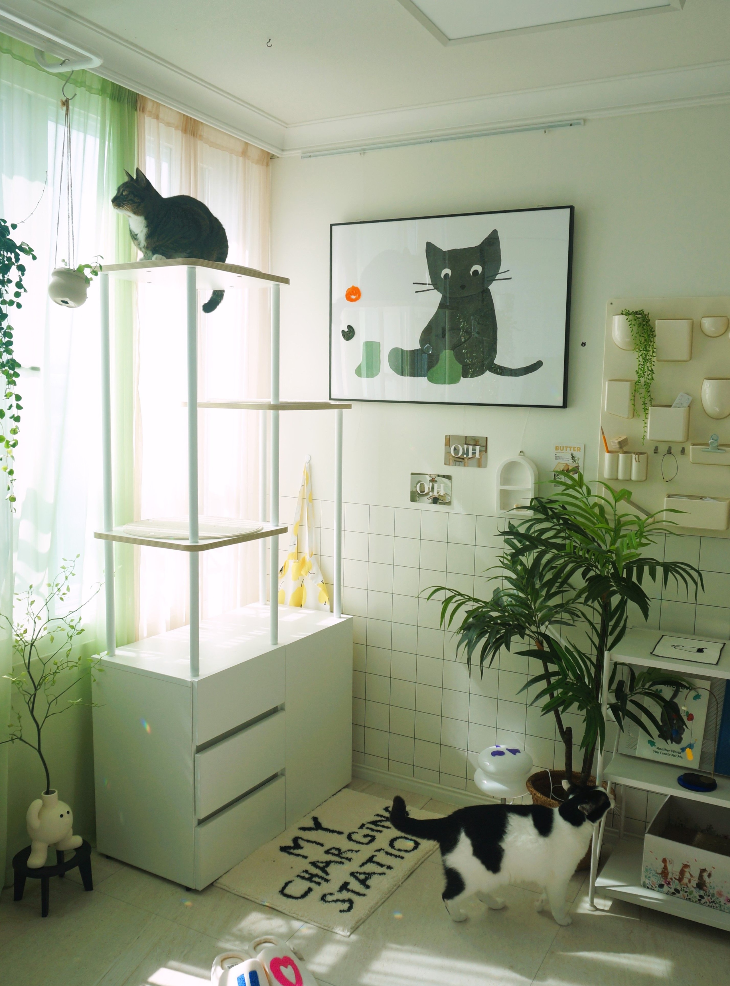 My Charging Station Tufted Rug user photo