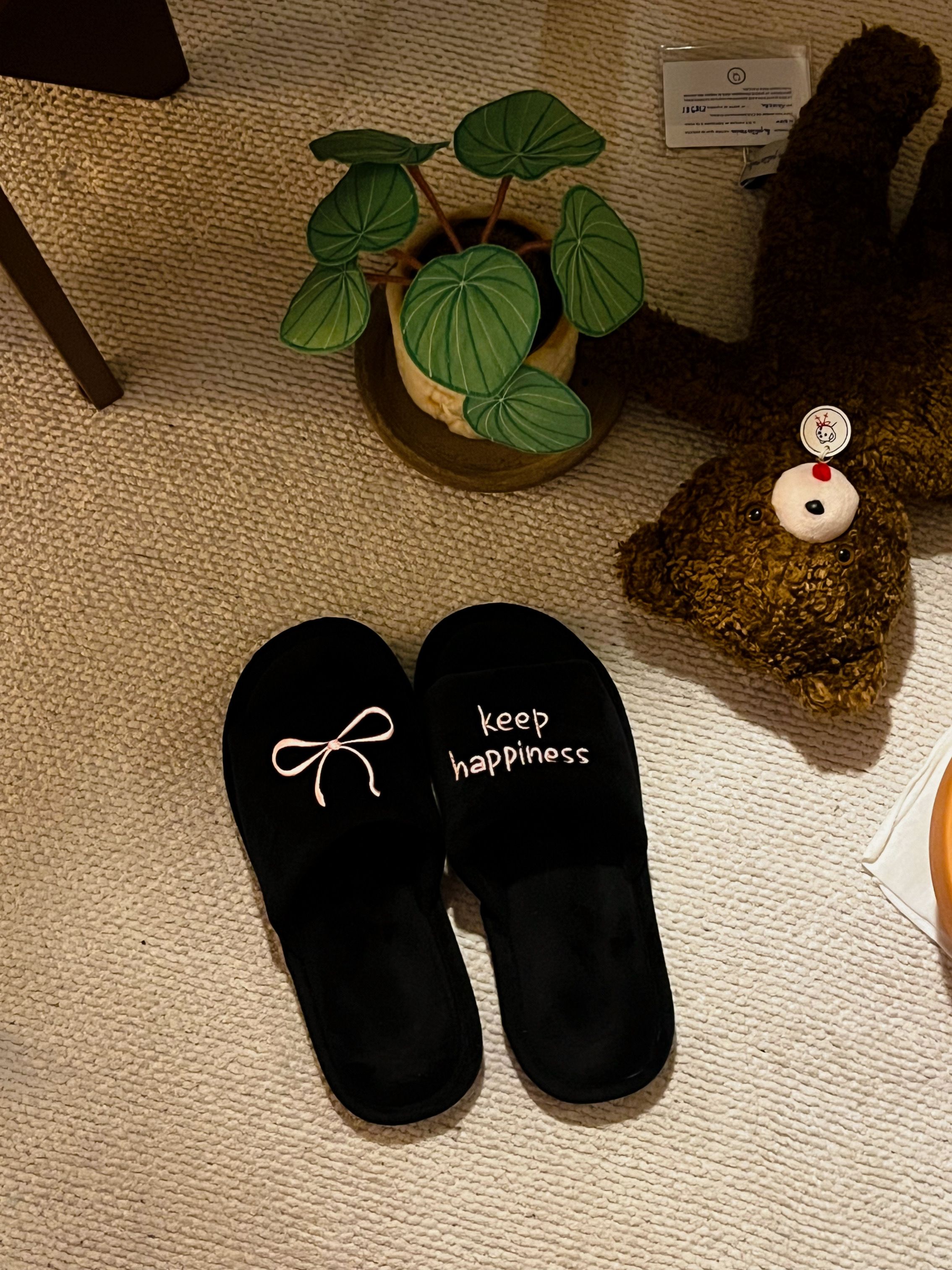 Soft Ribbon Home Slippers user photo