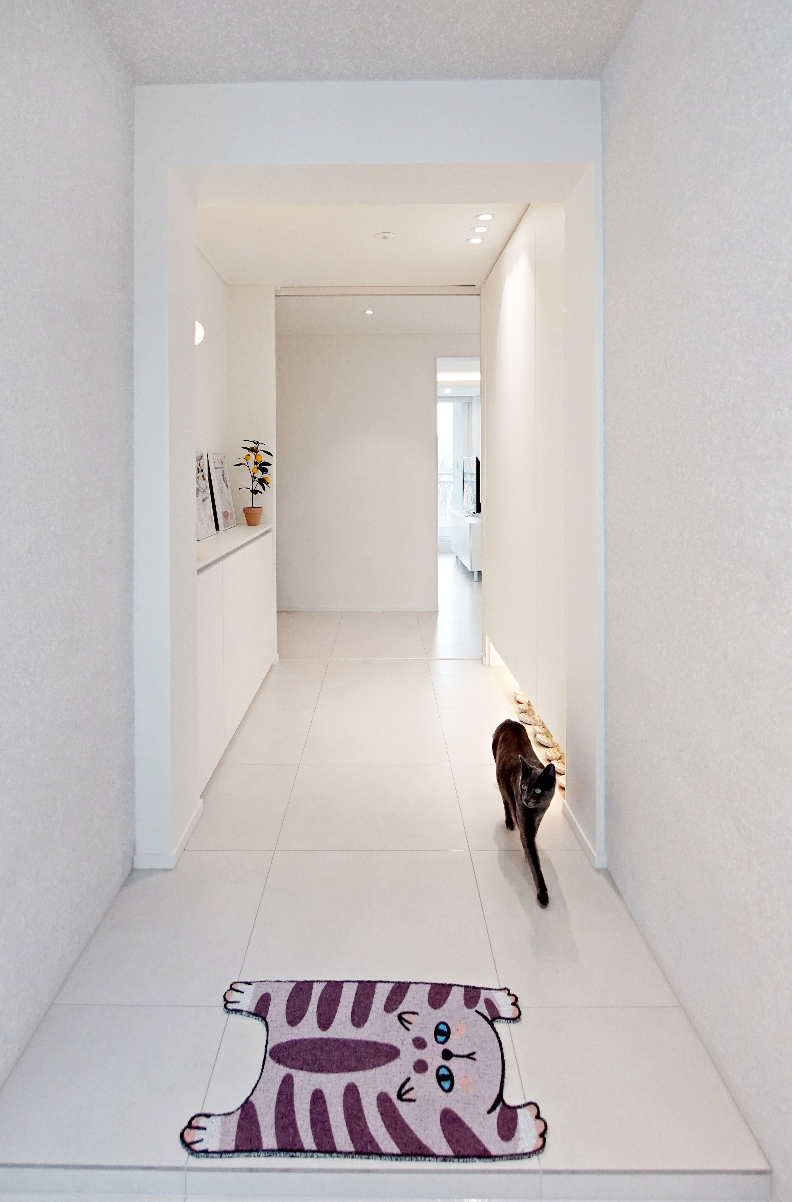 Doodle Animal Accent Rug Collection user photo