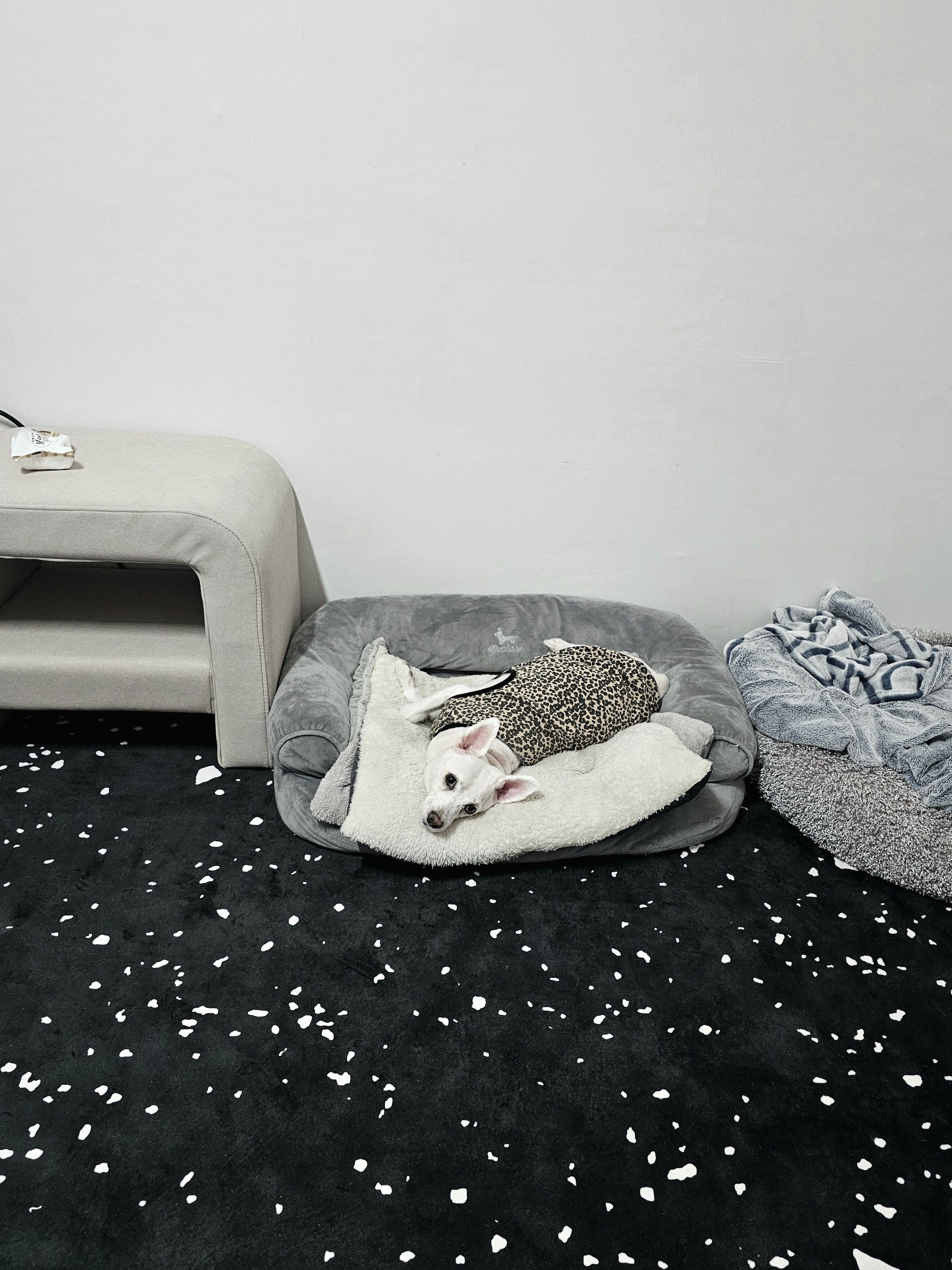 Black Terrazzo Microfiber Rug user photo