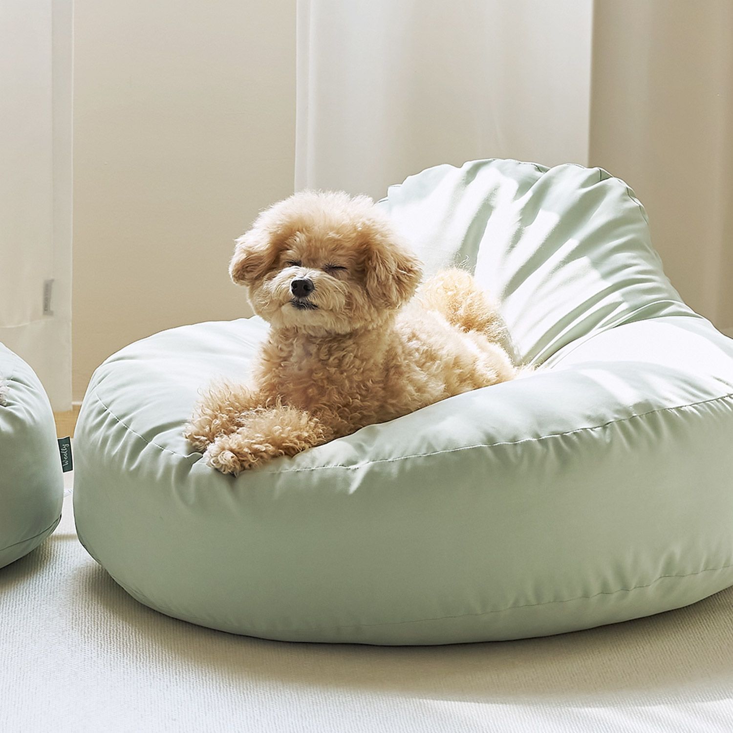 Woolly ペット用 ビーズクッション［5色・3サイズ］ ベージュ ブラウン