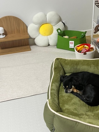 앙꼬네_집님의 공간에 오신 것을 환영합니다.